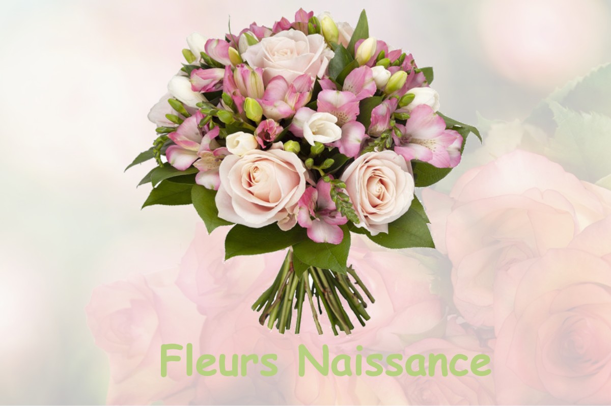 fleurs naissance CHAMPAGNAC-DE-BELAIR