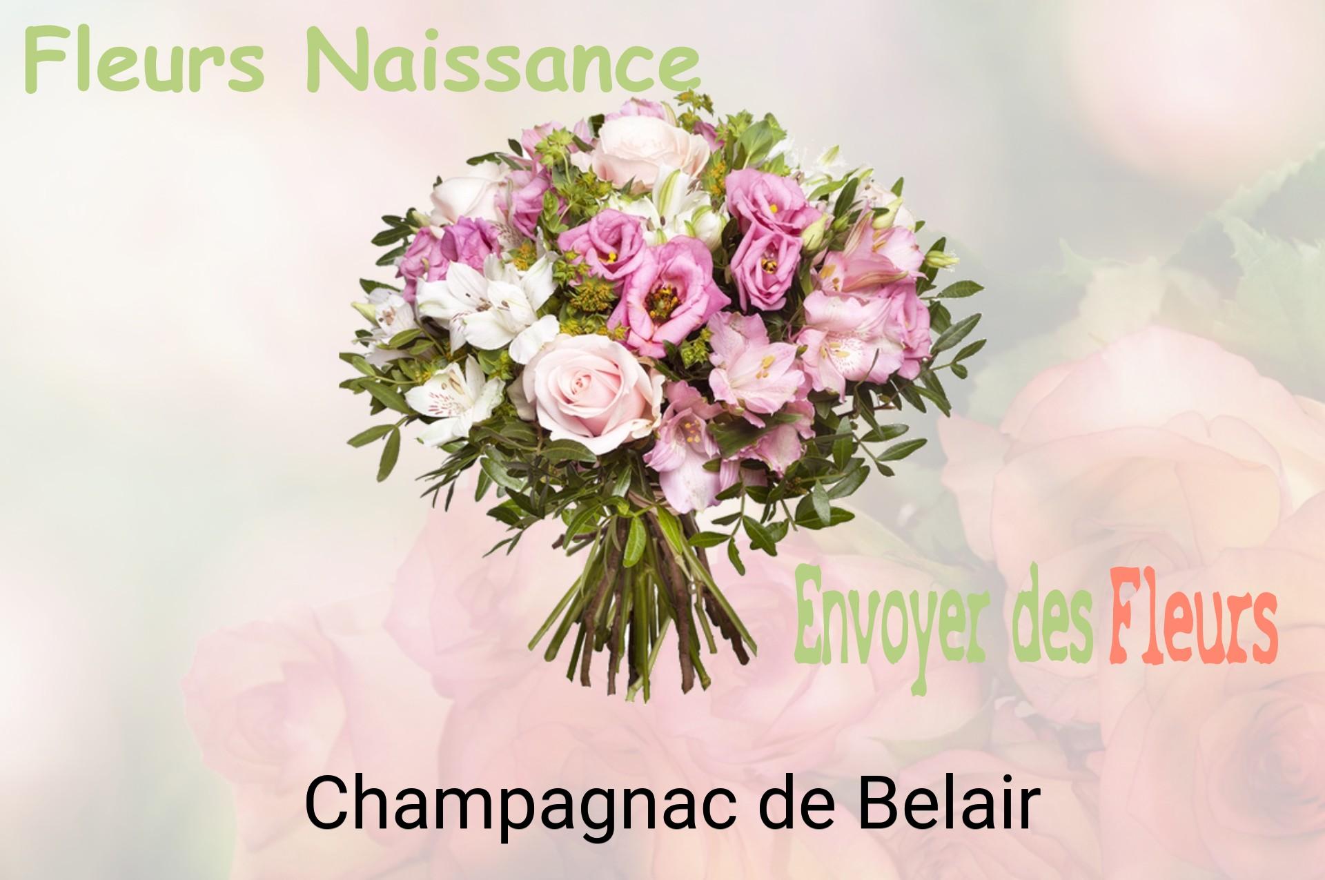 Bouquet de fleurs de naissance livré à Champagnac-de-Belair